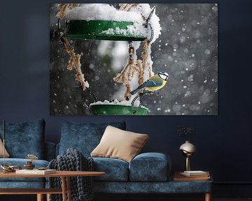 Blauwe mees bij de voederplaats tijdens sneeuwval