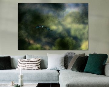 'arrivée du Rollier d'-Europa von Sébastien Colas