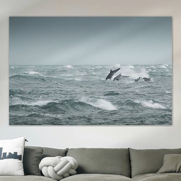 Famille de grands Dauphins dans la tempête