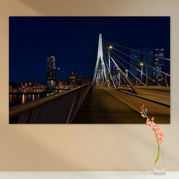 Die Erasmusbrücke, Rotterdam