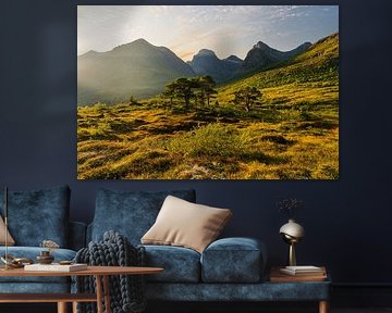 Wild Norway by Rainer Mirau