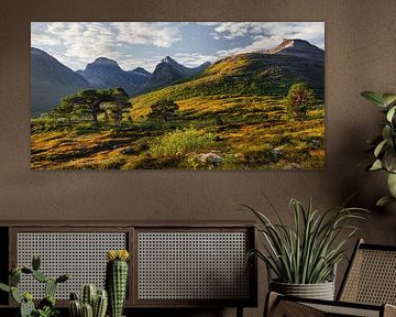 Wild Norway by Rainer Mirau