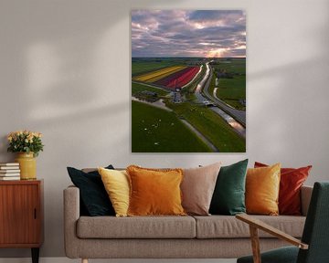 Windmühle zwischen bunten Tulpen und Wasserwegen von Ewold Kooistra