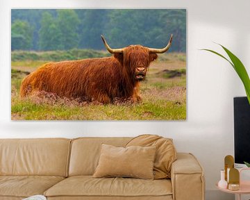 Schottischer Hochländer 20 von Jan Peter Nagel