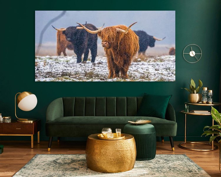 Aperçu de la chambre