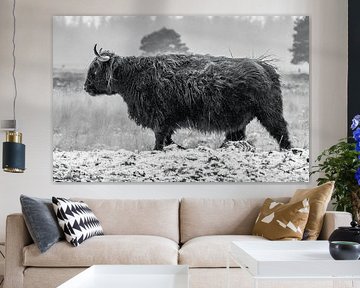 Scottish Highland cattle 27 by Jan Peter Nagel