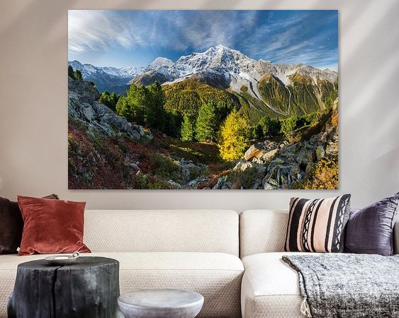 Aperçu de la chambre