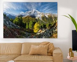 Aperçu de la chambre