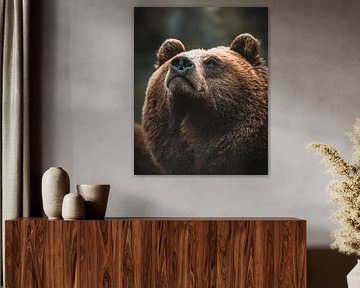 Eye of the Wilderness