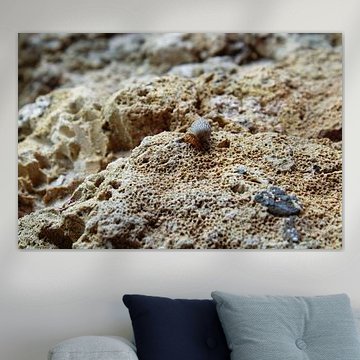 Vulnerable Traveller on the Rock