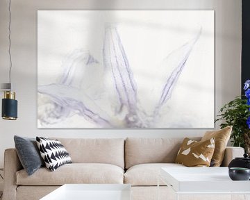 Clématite dans la glace 3