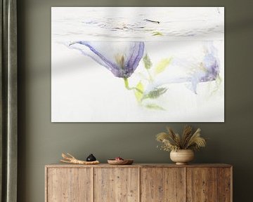 Clématites dans la glace 2