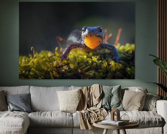 Aperçu de la chambre