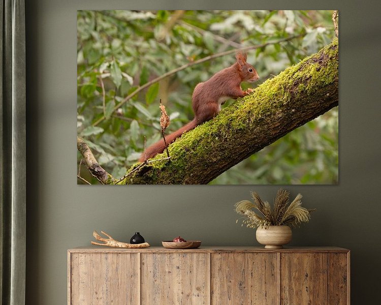 Aperçu de la chambre