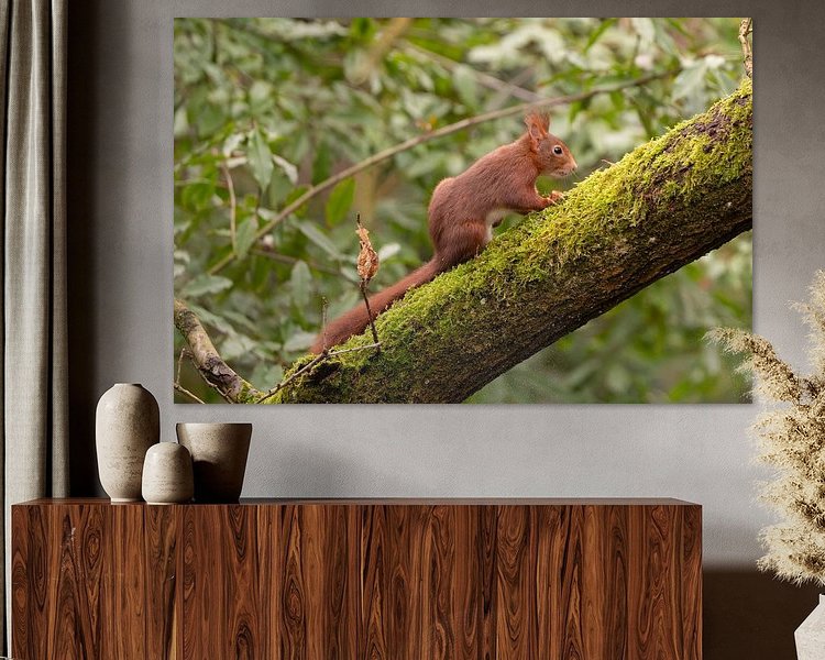 Aperçu de la chambre