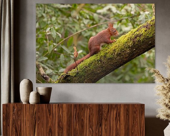 Aperçu de la chambre