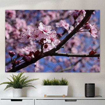 Pink spring blossom by Corinne Welp
