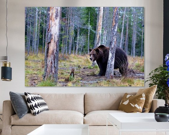 Aperçu de la chambre