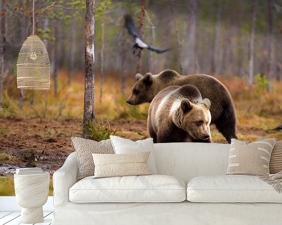 Aperçu de la chambre