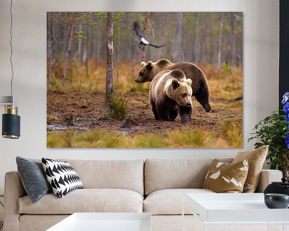 Aperçu de la chambre