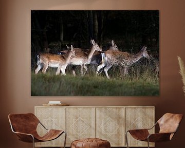 Amsterdamse Waterleiding Duinen van Ad van Geffen