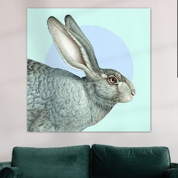 Hare von Marja van den Hurk