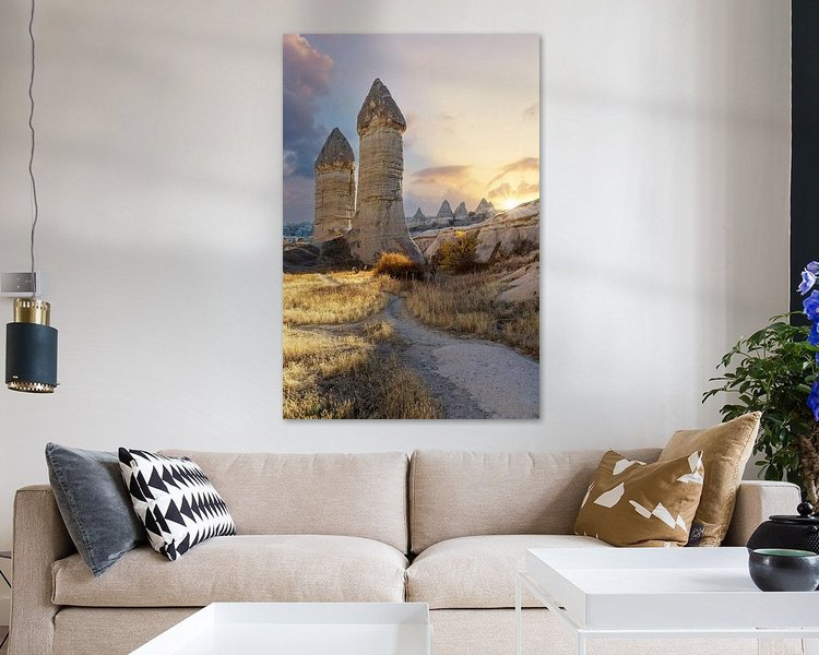 Aperçu de la chambre