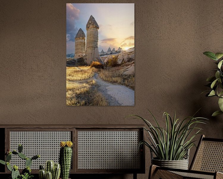 Aperçu de la chambre