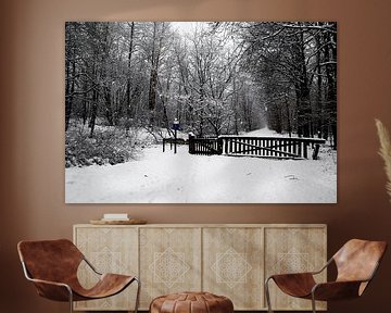 Landgoed Ennemaborgh in wintersfeer van Jan Sportel Photography
