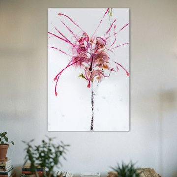 Grevillea in ice 2 by Marc Heiligenstein