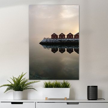 Rode huisjes in het winterlicht