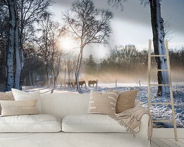 Winter Sunrise Dwingelderveld by Volt