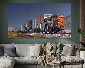 Güterzug der BSNF in Kalifornien van Kurt Krause