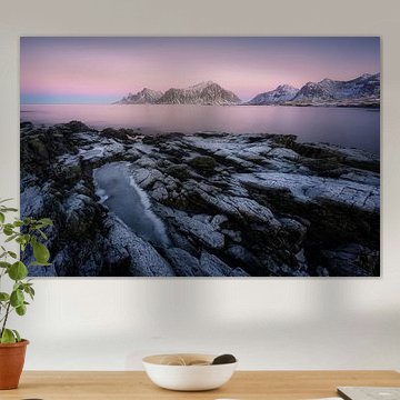 Icy coastal landscape Lofoten, Norway