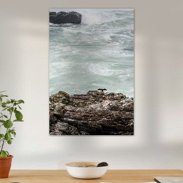 Cormorant bird on cliff above rough sea by Femke Ketelaar