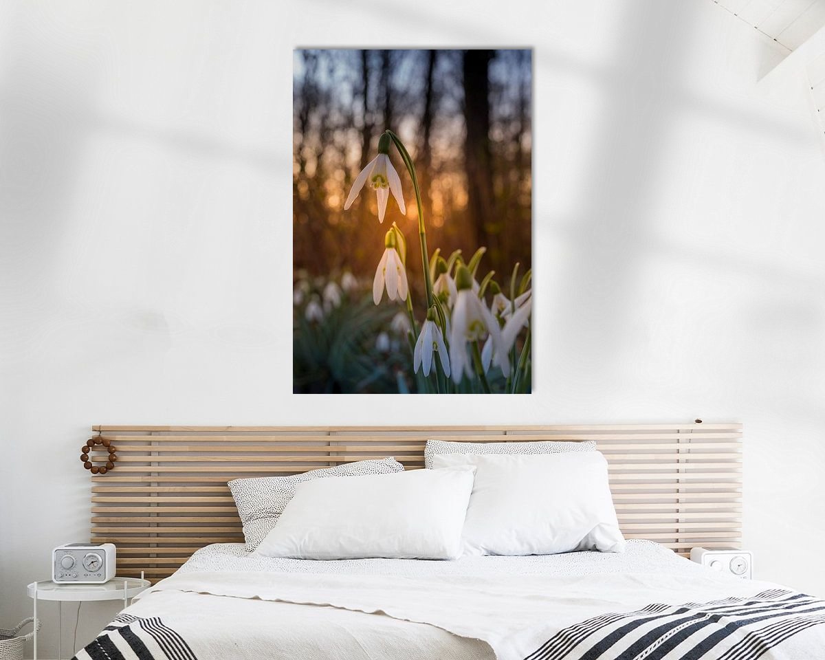 Raumvorschau