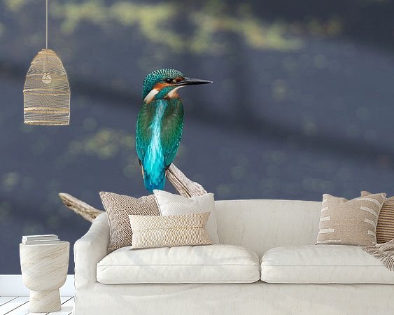 Raumvorschau