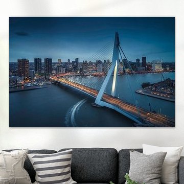 Rotterdam Dynamics: The Swan in the Blue Evening