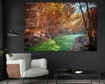 Forêt aux couleurs d'automne avec fossé vert sur Egon Zitter