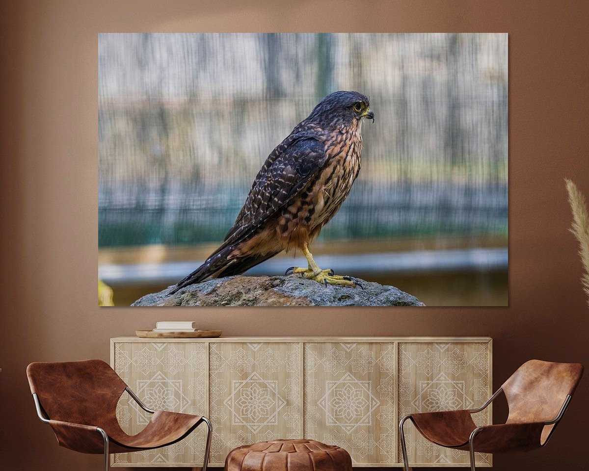 Raumvorschau