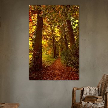 Bos in de herfst van Egon Zitter