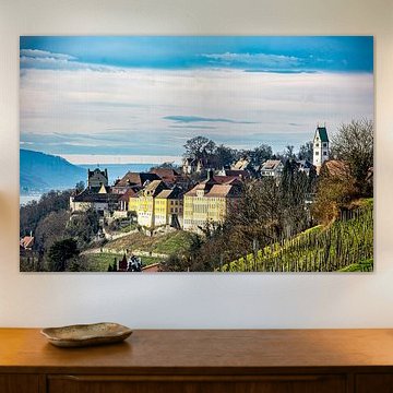 Les vignobles et Meersburg sur Dieter Walther