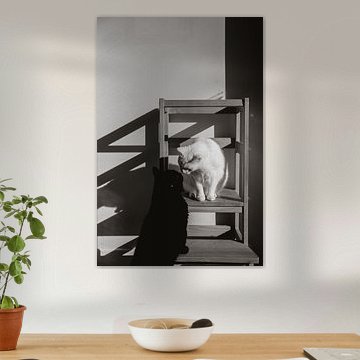 Ensemble, en toute simplicité sur Images by Saskia - Foto & Film