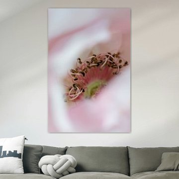 Das verborgene Herz einer rosa Rose von Margot van den Berg