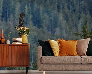 Amerikaanse Zeearend in vlucht