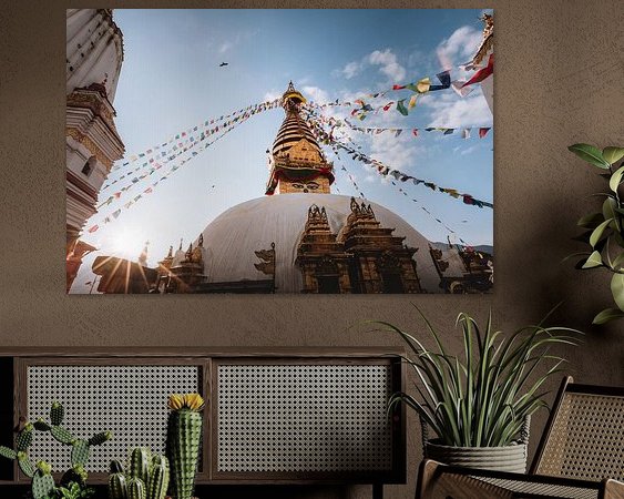 Aperçu de la chambre