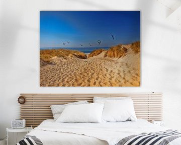 Path through the dunes to the beach sur Peter Roder