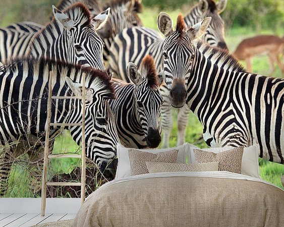 Aperçu de la chambre