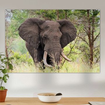 Großartig in der Ruhe