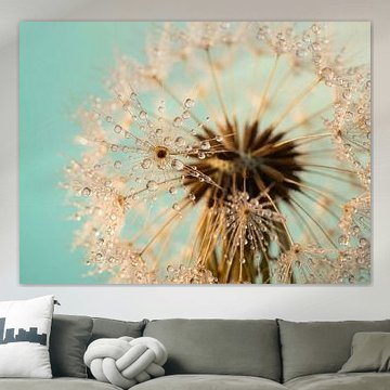 Lichttropfen im stillen Morgen